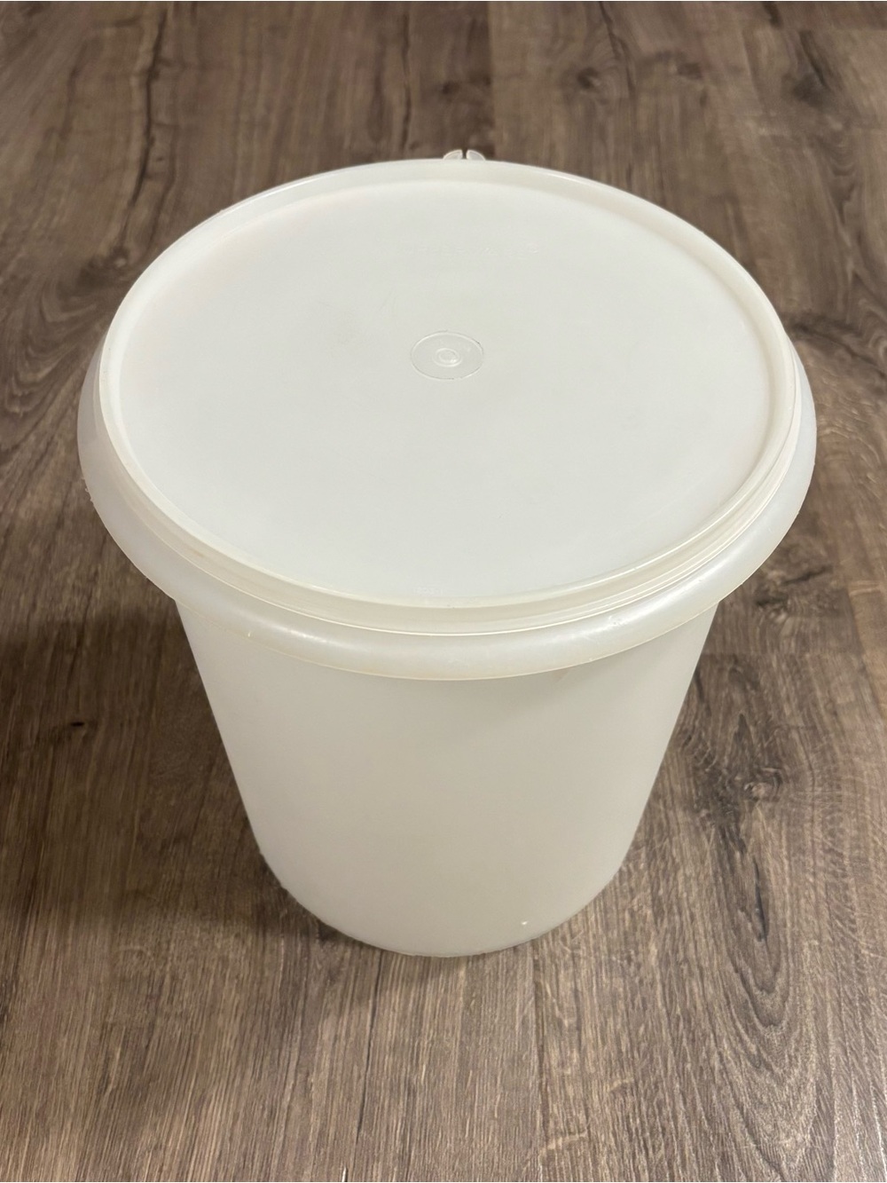 Vintage Tupperware Large 9 Quart Sheer Storage Container 255-5 W/ Lid